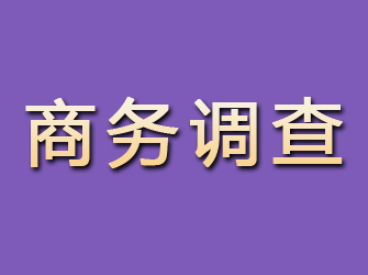 纳溪商务调查